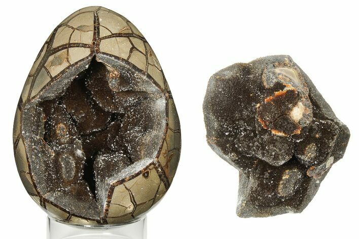 Septarian Dragon Egg Geode - Removable Section #191397